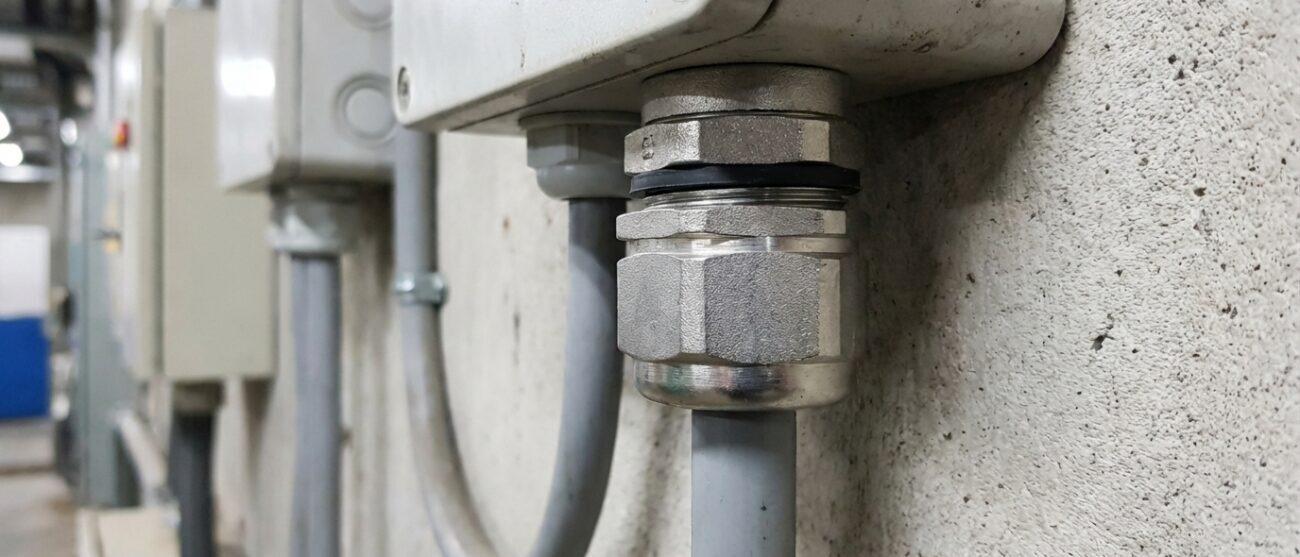 Wartel Wat is een wartel?